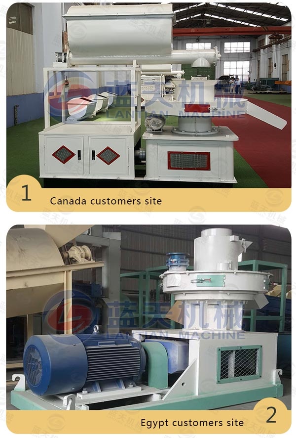 Sugarcane Bagasse Pellet Machine